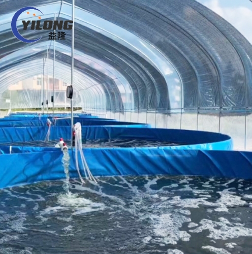 Common Issues and Solutions for Circular Fish Ponds.