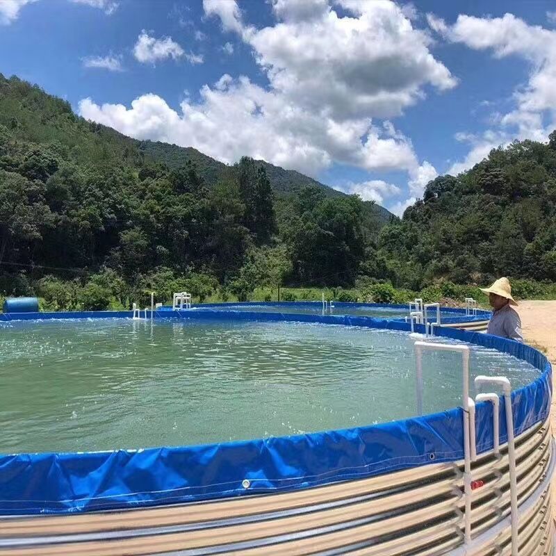 镀锌板鱼池 (2).jpg