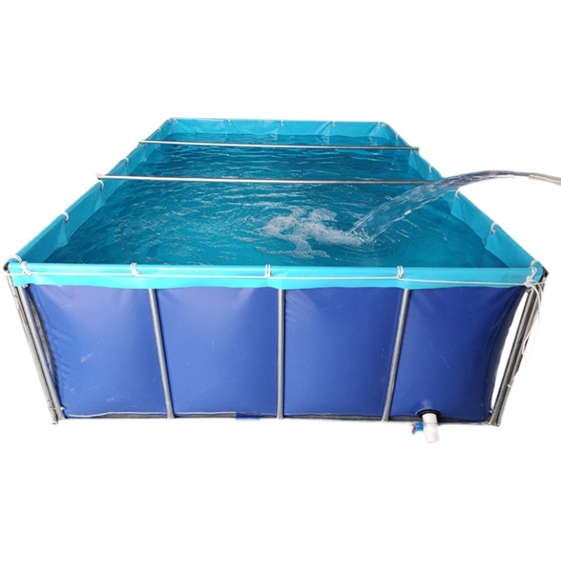pool (12).jpg